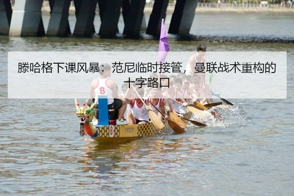 teng-ha-ge-xia-ke-feng-bao-fan-ni-lin-shi-jie-guan-man-lian-zhan-shu-zhong-gou-de-shi-zi-lu-kou-2-190.jpg
